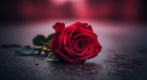 Love Failure Quotes in English